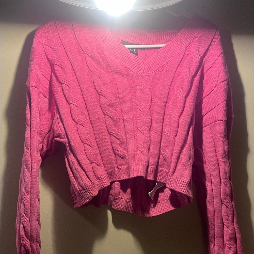 Forever 21 Fuchsia Cable Knit V-Neck Sweater
